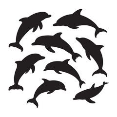 Silhouette of Dolphins Playing in the Ocean