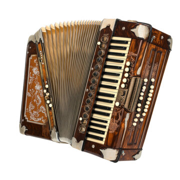 Musical instruments - bayan. Isolated on transparent background.