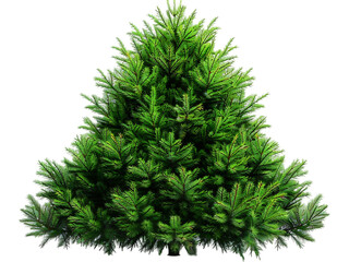 A Christmas tree with a triangular shape, featuring green branches that appear lush and full. The tree is set against a plain background, which emphasizes its vibrant green color and detailed foliage.