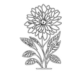 Monochrome outline of a blooming flower with detailed petals and leaves