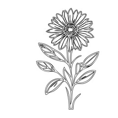 Artistic rendition: Isolated monochrome floral illustration with intricate linework