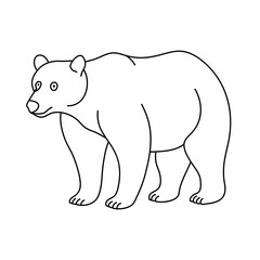 Bear seamless set on white background. Sketch of bear on white board. Line art of animal
