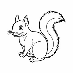 Squirrel seamless set on white background. Sketch of squirrel on white board. Line art of animal