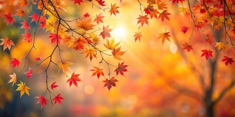 Autumn Leaves Falling from Red Maple Tree, changing seasons, tree branches,  changing seasons