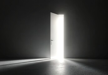 An open door in a dark room with bright light shining through from outside.