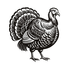 Turkey silhouette vector illustration
