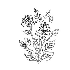 Elegant Floral Sketch: Minimalist Botanical Illustration with Delicate Line Work