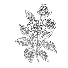 Elegant floral illustration with intricate leaf details for creative designs