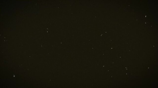 analog vintage video overlay - dust and scratches with film light leaks and noise effects - loop footage