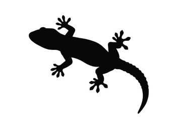Obraz premium Gecko silhouette. This image depicts a detailed black silhouette of a gecko, also referred to as a lizard or reptile, featuring distinct legs and tail. Vector clipart illustration design.