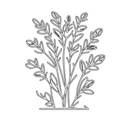 Elegant botanical line drawing showcasing delicate foliage and minimalist design elements