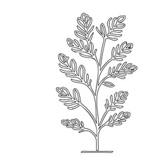 Elegant botanical line drawing depicting a sprig with delicate, stylized leaves