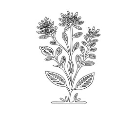 Elegant Botanical Line Art: A Minimalist Floral Illustration with Delicate Blossoms