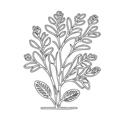 Minimalist botanical illustration showcasing delicate foliage in linear black and white