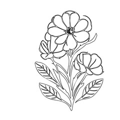 Delicate floral illustration exhibiting botanical grace in a linear artistic style