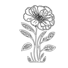 Elegant blooming flower contour, single line botanical drawing for creative design
