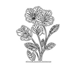 Delicate floral sketch displaying outlined flower and foliage elements design