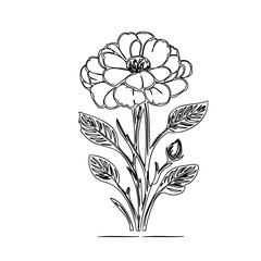 Botanical Illustration: Single Line Drawing of a Flourishing Floral Arrangement