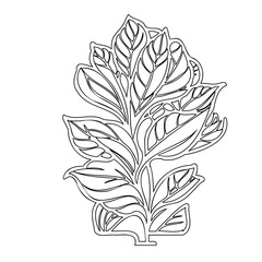 Intricate Leafy Plant Silhouette: A Detailed Black and White Botanical Illustration