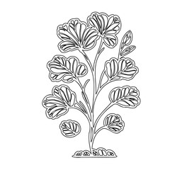 Delicate monochromatic illustration of a stylized flowering plant with ornate petals