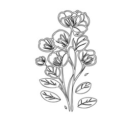 Elegant botanical floral arrangement line art illustration for print design