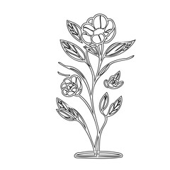 Elegant floral botanical line art illustration with delicate flower blossoms