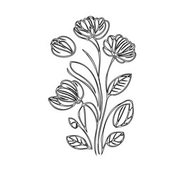 Minimalist floral illustration with delicate blooms on slender stems design