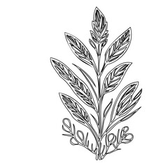 Delicate monochrome botanical illustration featuring elegantly detailed foliage
