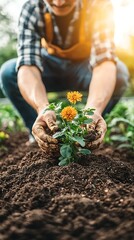 Gardener planting orange flowers in rich soil, sunlight beaming