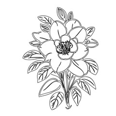 Elegantly styled botanical illustration featuring a delicate floral bloom bouquet