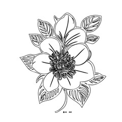 Delicate floral illustration featuring minimalist linework and organic shapes