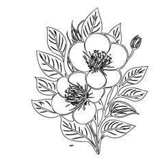 Elegant floral illustration with delicate linework featuring blossoms and foliage