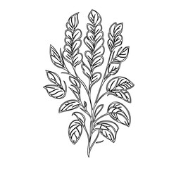 Elegant botanical sketch featuring stylized leaves and decorative floral elements
