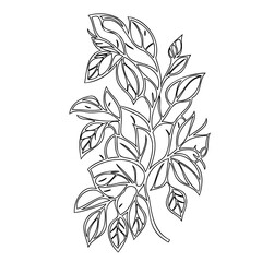 Elegant botanical sketch featuring stylized foliage for creative applications