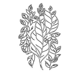Intricate botanical line art featuring assorted leaves and branches on white
