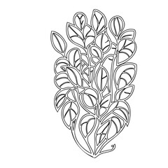 Elegant botanical illustration featuring stylized foliage, monochrome, graphic pattern