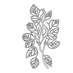 Elegant botanical line drawing of leafy sprig creates a delicate aesthetic