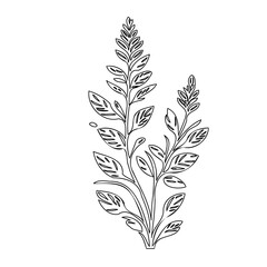 Elegant botanical illustration featuring delicately outlined floral elements and foliage