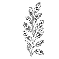 Elegant minimalist line art illustration of stylized leafy twig design
