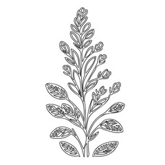 Elegant botanical drawing: stylized plant illustration in monochrome vector line art