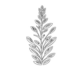 Elegant botanical illustration displaying nature's intricate beauty through minimalism
