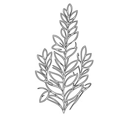 Elegant botanical illustration: A poised, stylized wheat plant arrangement