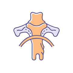 Stylized vertebral anatomy illustration highlighting bone and spinal structures