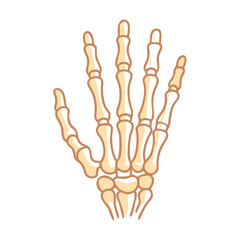 Illustration of stylized hand skeleton against a black backdrop