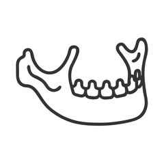Gray mandibular bone line art on plain black background