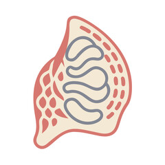 Abstract pink shape with gray waves on black background