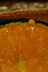 fresh orange juice
