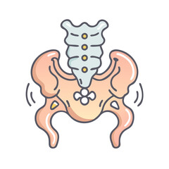 Stylized illustration of human pelvic bone anatomy on black