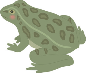 개구리2