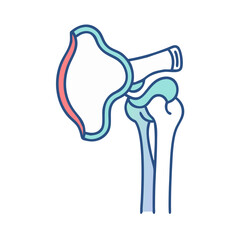 Stylized scapula and humerus bone illustration on black backdrop